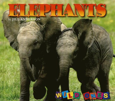 Elephants 1