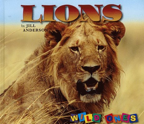 Lions 1