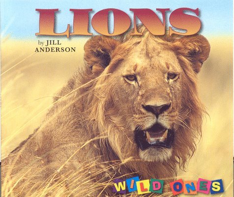 Lions 1