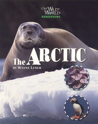 Wayne Lynch - Arctic, Inbunden