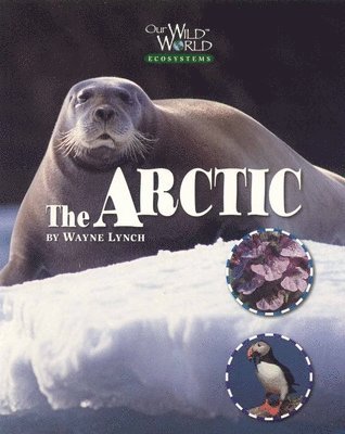 Wayne Lynch - Arctic, Inbunden