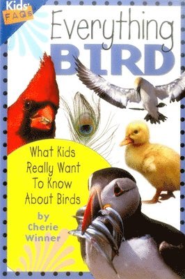 Cherie Winner - Everything Bird, Häftad