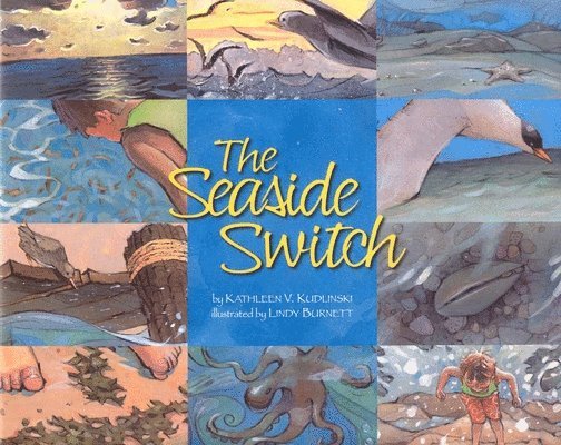 The Seaside Switch 1