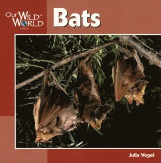 Julia Vogel - Bats, Inbunden