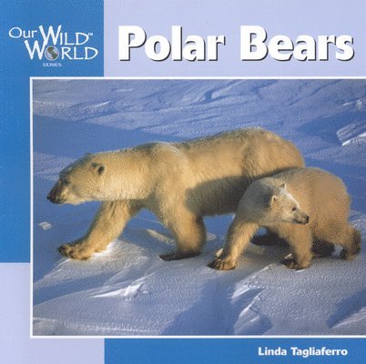 Jill Anderson - Polar Bears, Inbunden. Tillgänglighet: Tillfälligt slut