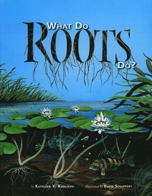 What Do Roots Do? 1