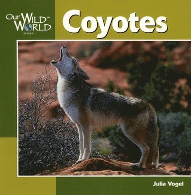 Julia Vogel - Coyotes, Häftad