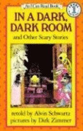 bokomslag In a Dark, Dark Room