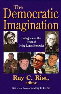 bokomslag The Democratic Imagination