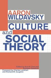 bokomslag Culture and Social Theory