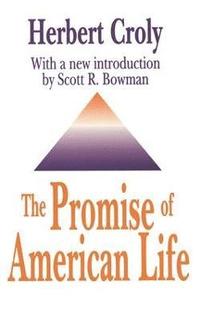 bokomslag The Promise of American Life