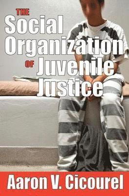 bokomslag The Social Organization of Juvenile Justice