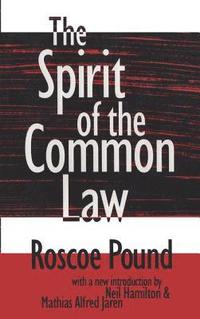 bokomslag The Spirit of the Common Law