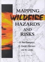 bokomslag Mapping Wildfire Hazards and Risks