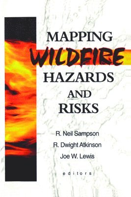 bokomslag Mapping Wildfire Hazards and Risks