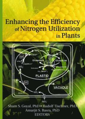 bokomslag Enhancing the Efficiency of Nitrogen Utilization in Plants