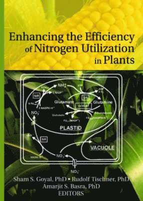 Enhancing the Efficiency of Nitrogen Utilization in Plants 1