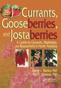 bokomslag Currants, Gooseberries, and Jostaberries