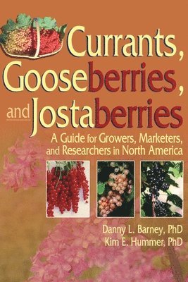 bokomslag Currants, Gooseberries, and Jostaberries