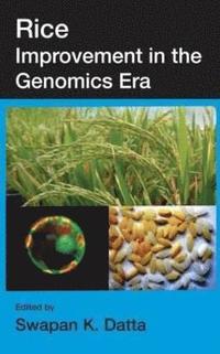 bokomslag Rice Improvement in the Genomics Era