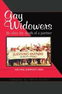 bokomslag Gay Widowers