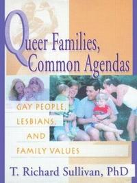 bokomslag Queer Families, Common Agendas