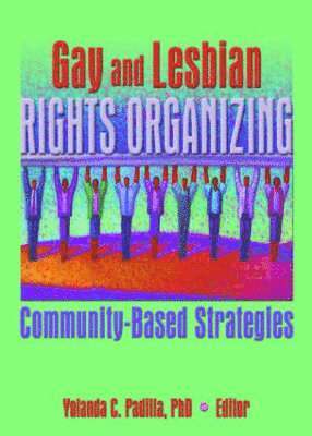 bokomslag Gay and Lesbian Rights Organizing