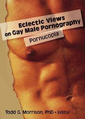 bokomslag Eclectic Views on Gay Male Pornography