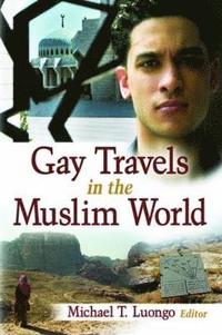 bokomslag Gay Travels in the Muslim World