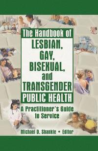 bokomslag The Handbook of Lesbian, Gay, Bisexual, and Transgender Public Health