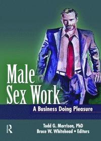 bokomslag Male Sex Work