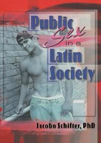 bokomslag Public Sex in a Latin Society
