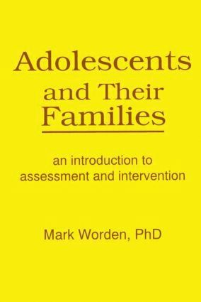 bokomslag Adolescents and Their Families