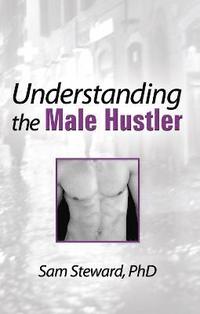 bokomslag Understanding the Male Hustler