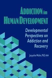 bokomslag Addiction in Human Development