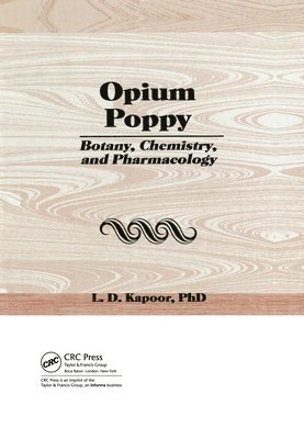 Opium Poppy 1