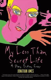 bokomslag My Less Than Secret Life