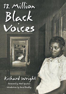 bokomslag 12 Million Black Voices