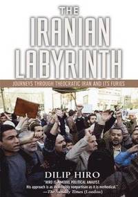bokomslag The Iranian Labyrinth