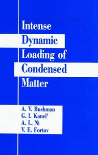 bokomslag Intense Dynamic Loading Of Condensed Matter