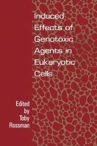 bokomslag Induced Effects Of Genotoxic Agents In Eukaryotic Cells