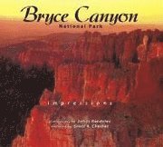 Bryce Canyon National Park Impressions 1