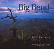 Big Bend National Park: Impressions 1