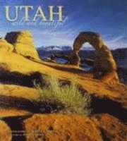 Utah Wild and Beautiful 1