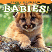 Rocky Mountain Babies!, Kartonnage