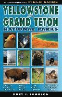 bokomslag The Field Guide to Yellowstone and Grand Teton National Parks