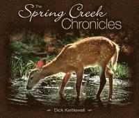bokomslag The Spring Creek Chronicles