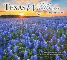 Texas Wildflowers Impressions 1