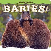 bokomslag Montana Babies!