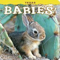bokomslag Texas Babies!